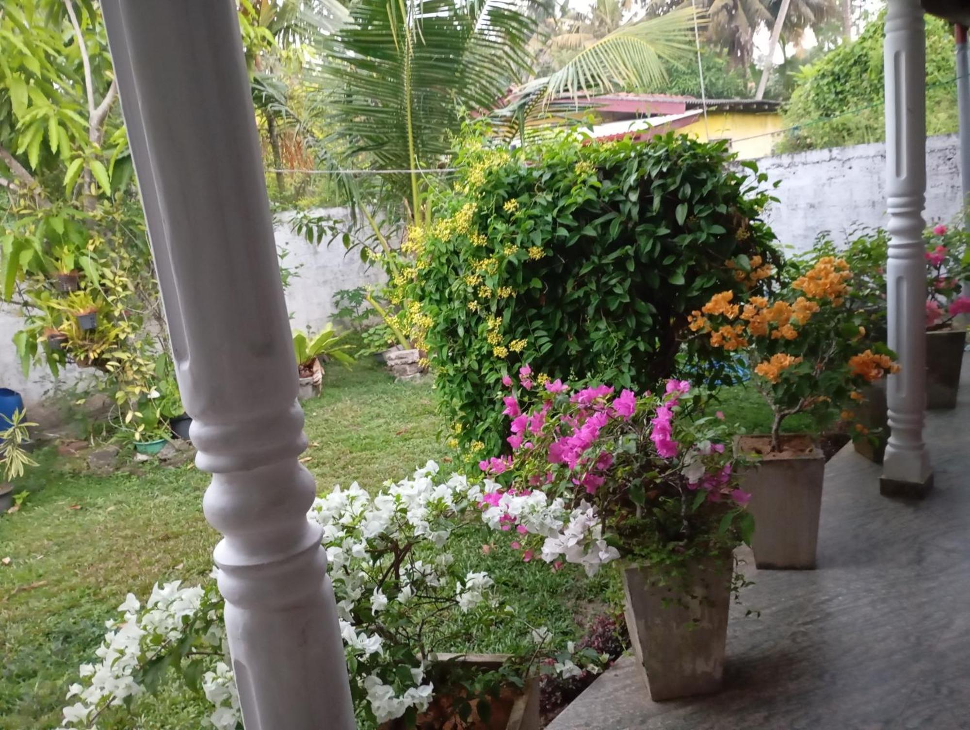 Southern Beach Surf Lodge آهانغاما المظهر الخارجي الصورة
